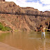 B - South Kaibab Trail 42.jpg, Since it was 35 degrees Celcius (in the shade) at the bottom of the canyon, we went into the water.., Grand Canyon NP