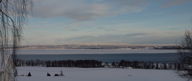 [P1284173[8].jpg]