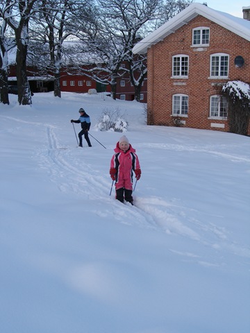 [Des20080617.jpg]