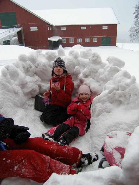 [Jan2009 310[7].jpg]