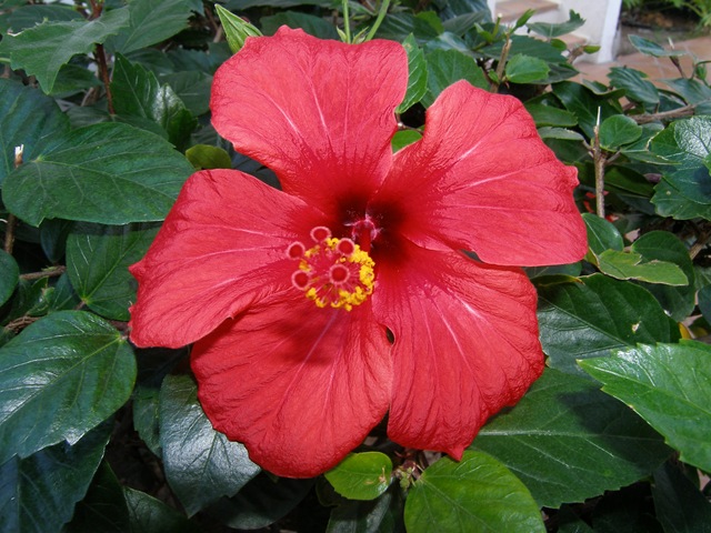 [Amadores20070064.jpg]