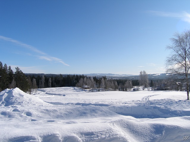 [Febr2009 366[8].jpg]