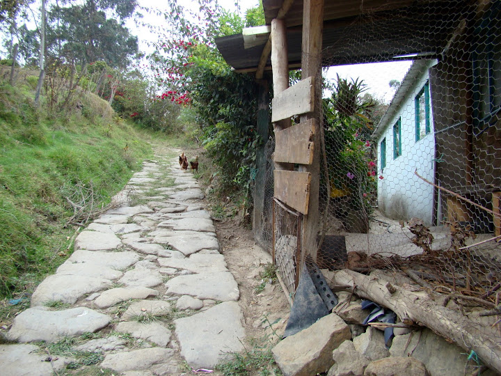 Фото  Camino real Choachí - Páramo del Verjón