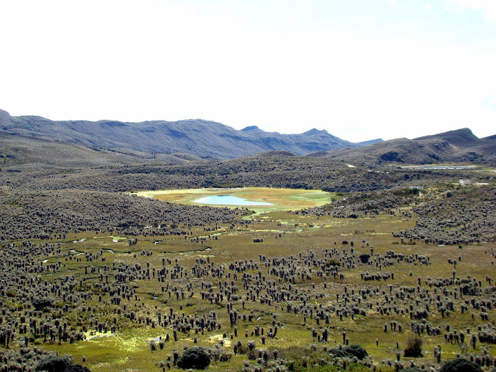 Foto von Páramo de Sumapaz : Ida y vuelta a las cuchillas de Bocagrande
