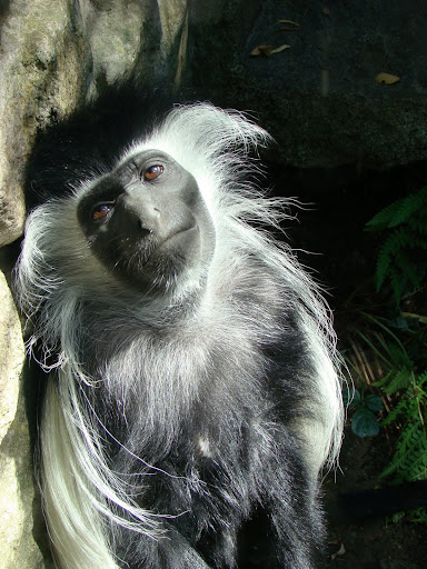 DSC09010.JPG