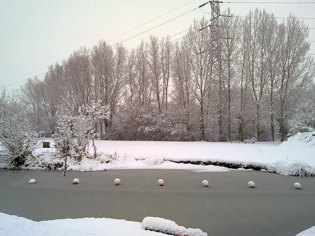 [snow day 039[2].jpg]