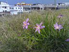 200811094088.jpg