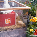 20090413AsbyTradgard 20090413AsbyTradgard