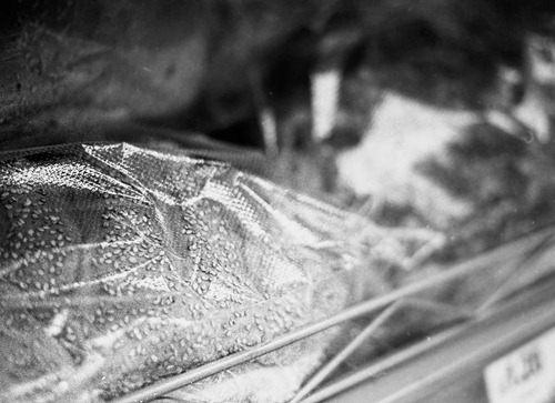 At-the-Supermarket-7---Film