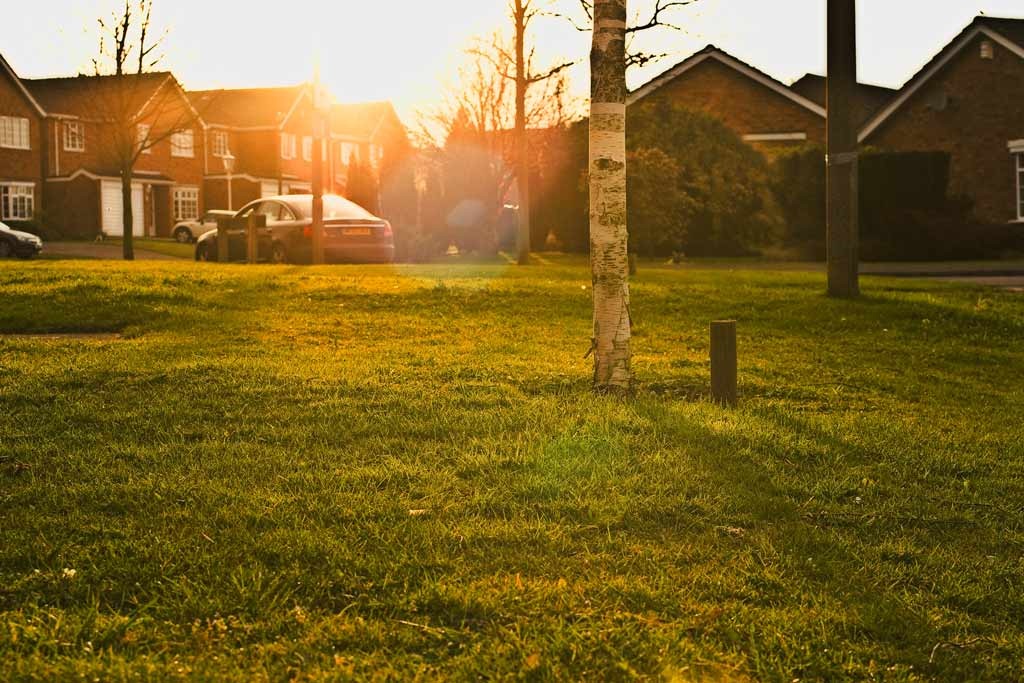 [In-the-Suburbs[4].jpg]