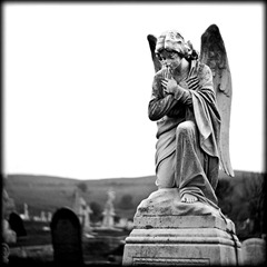 The-Cemetery-2