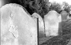 The-Graveyard-4---Film