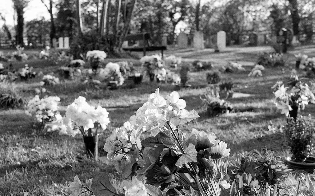[The-Graveyard-5---film[3].jpg]