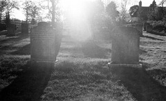 The-Graveyard---Film