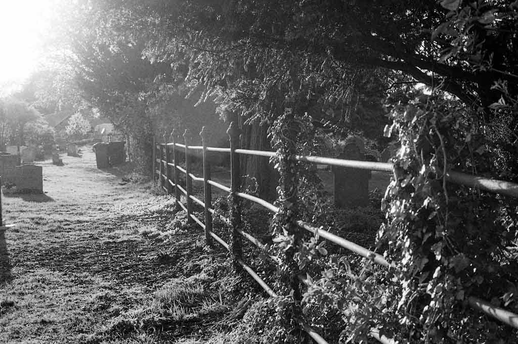 [The-Fence---Film[3].jpg]