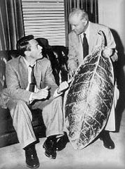 Dr. Miles Bennell listen to a man talk about the pods