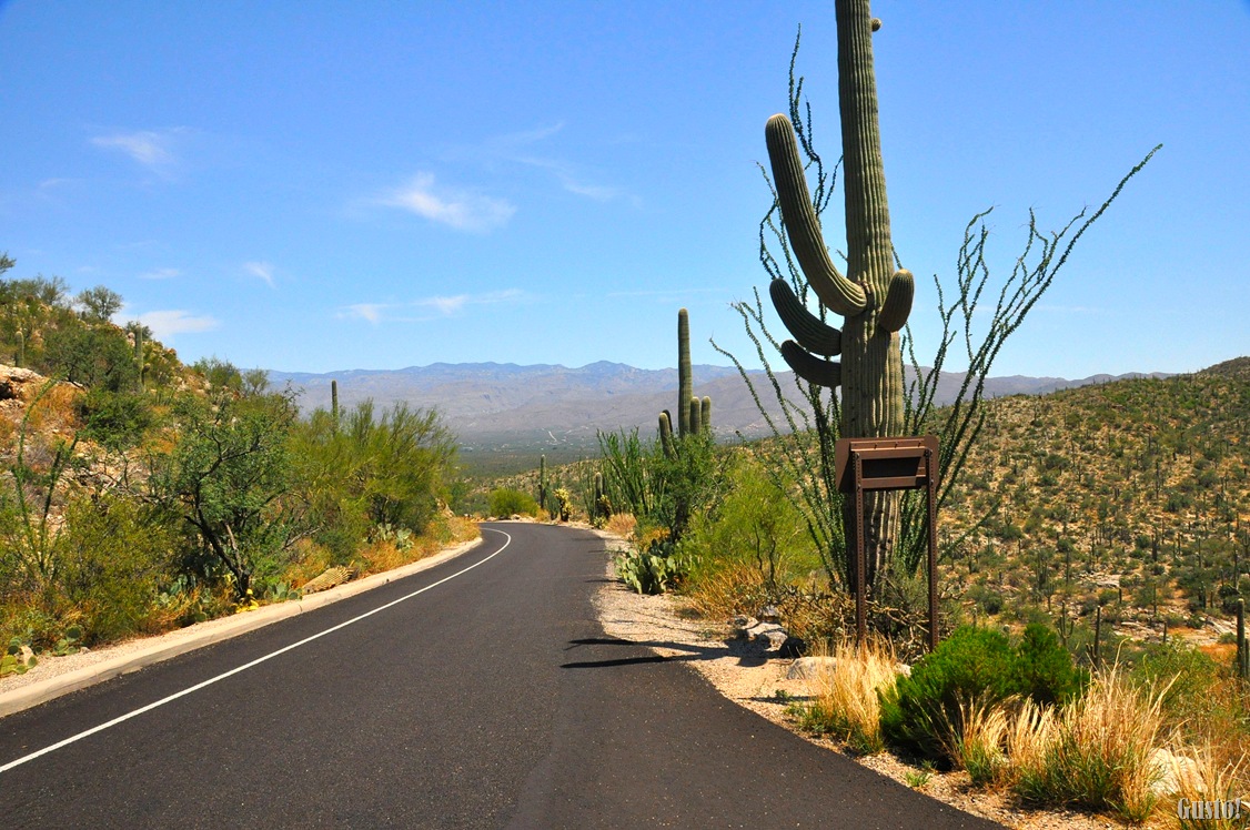 [2. Road[11].jpg]