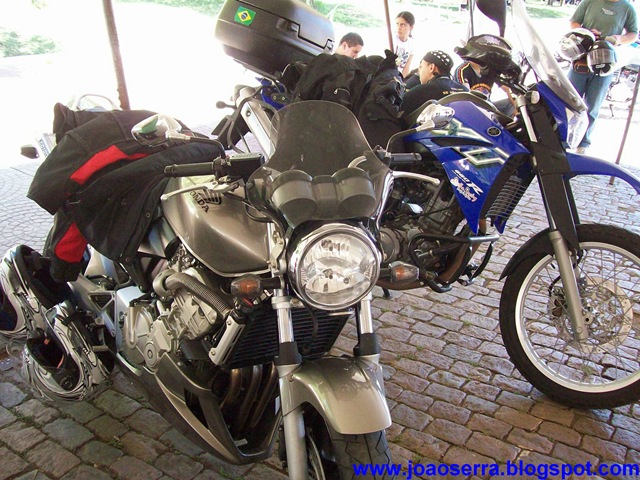 [100_5040[2].jpg]