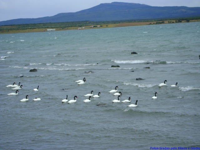 [DSC00898[2].jpg]