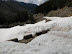 pedazo avalancha