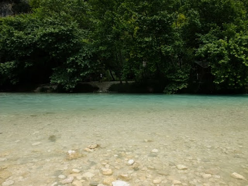 Posted Image