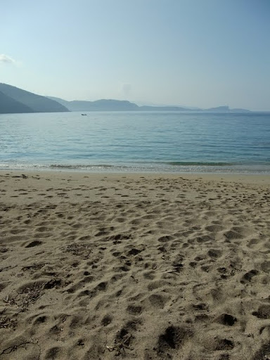 Posted Image