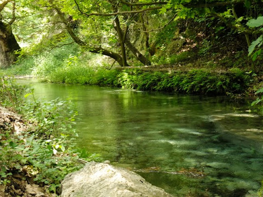 Posted Image