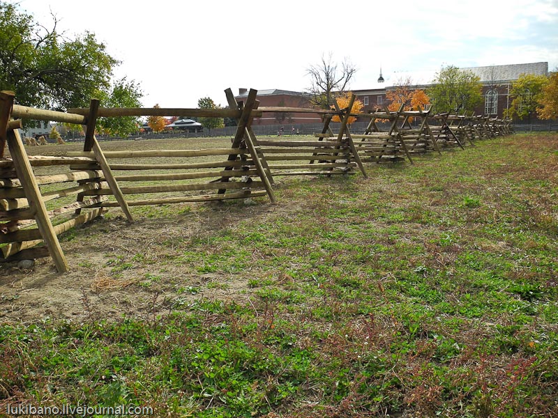 Гринфилд Вилладж - 1