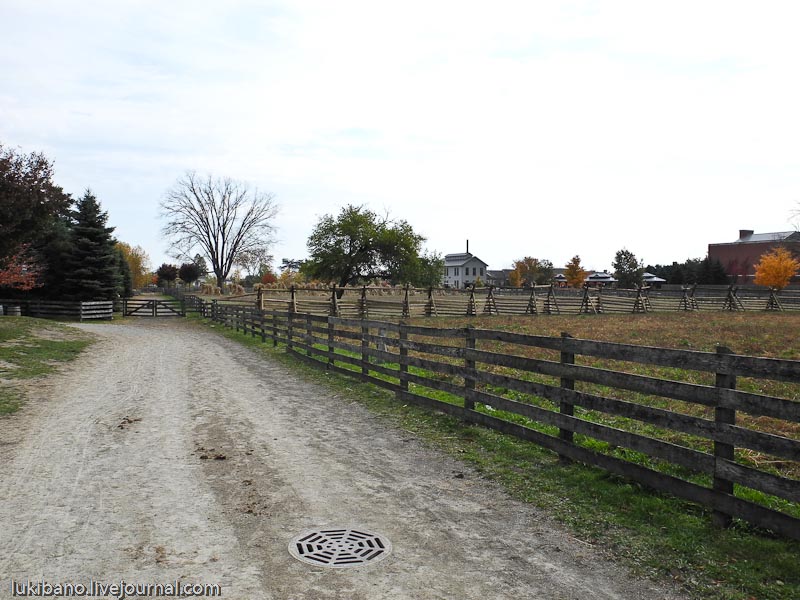 Гринфилд Вилладж - 1