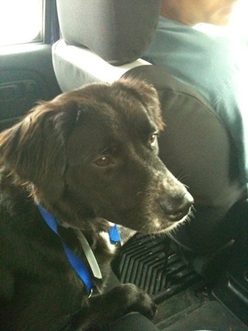 [EloiseComesHome[2].jpg]