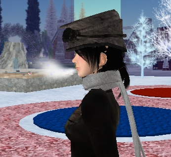 [Snapshot_1146A.jpg]