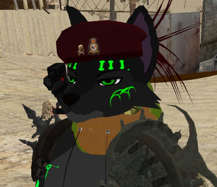 [Snapshot_004A.jpg]