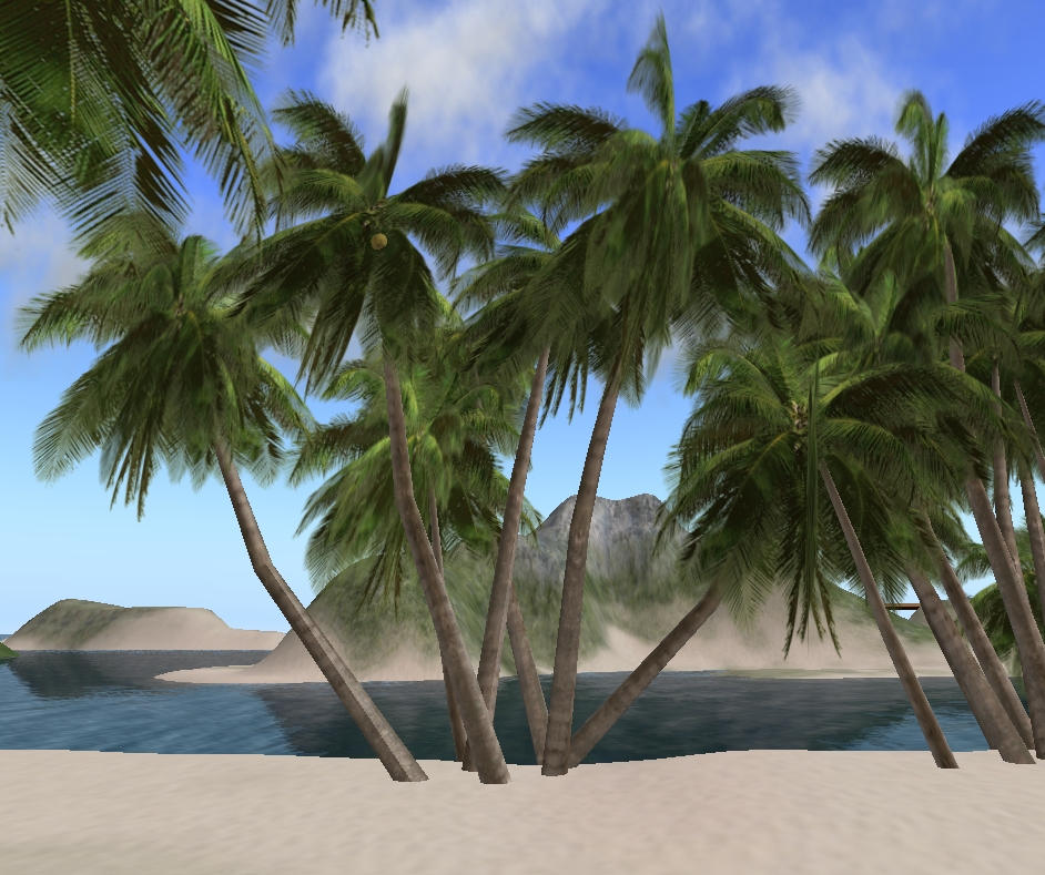 [Snapshot_3523A.jpg]