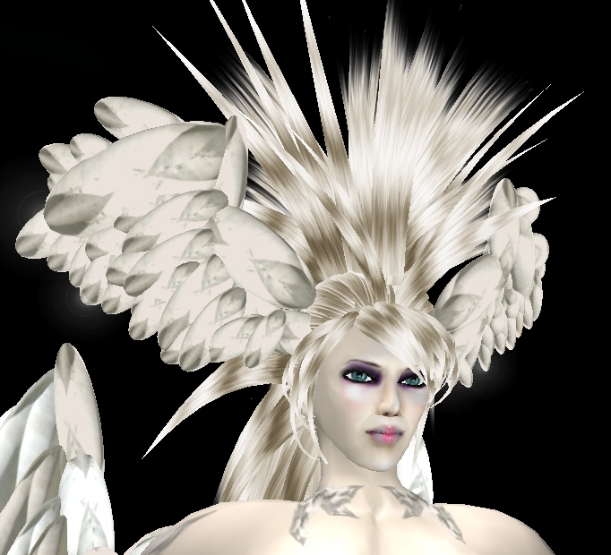 [Snapshot_3945A.jpg]