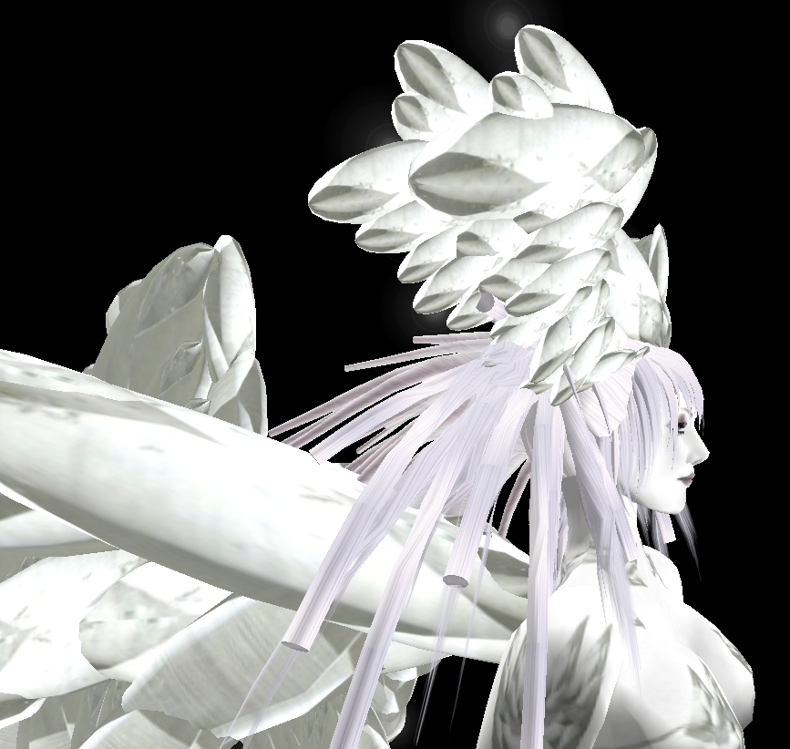 [Snapshot_2482A.jpg]