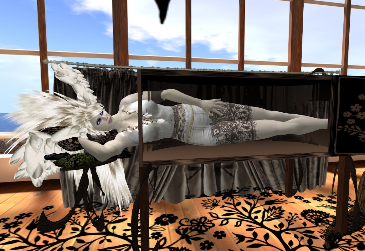 [Snapshot_4519A.jpg]