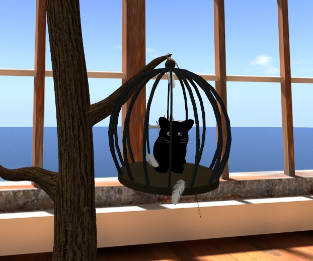 [Snapshot_4541A.jpg]