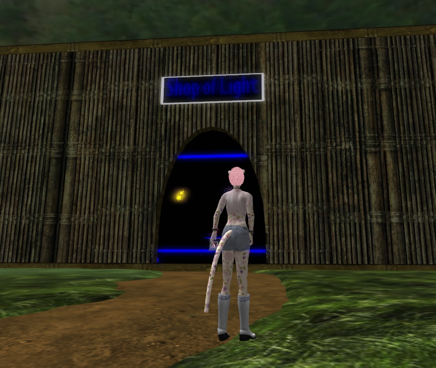 [Snapshot_5131A.jpg]