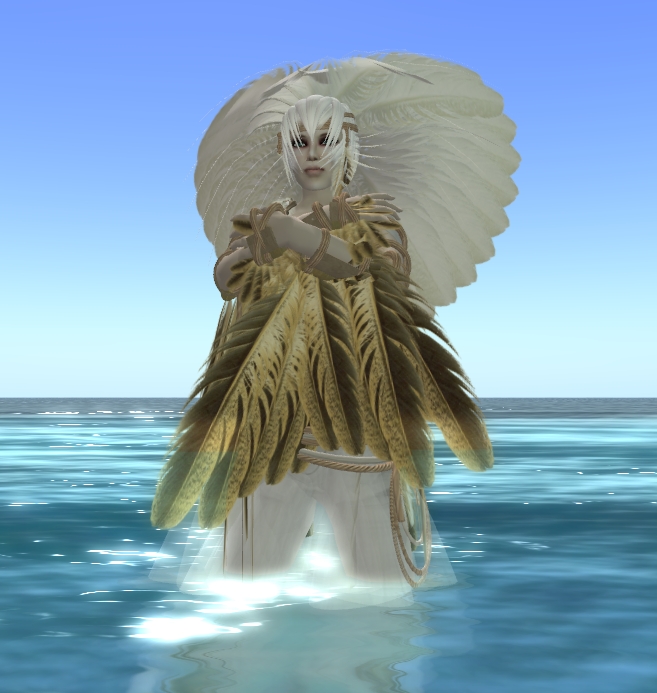 [Snapshot_5070A.jpg]