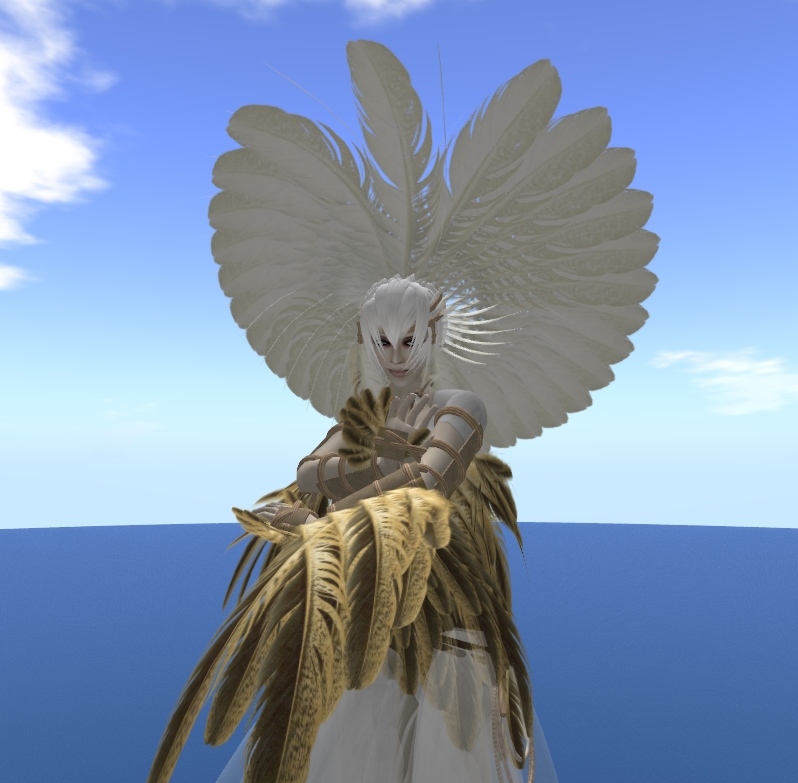 [Snapshot_5038A.jpg]