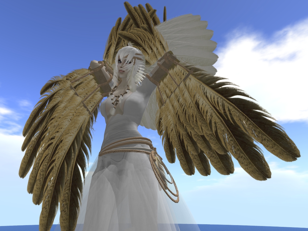 [Snapshot_5047A.jpg]