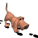 leejoo_doggy_01%20(1)