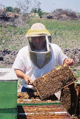 [beekeeping3.jpg]