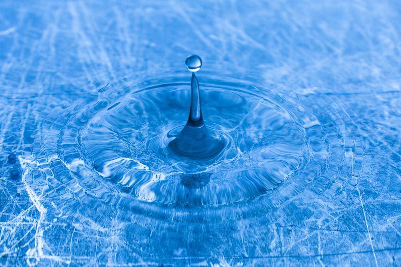 IMAGE: http://lh4.ggpht.com/_Kyr93-08jfU/TBBA20QMrLI/AAAAAAAAArg/23v7u-J_Odo/s800/img_0001_10-30-2009.jpg