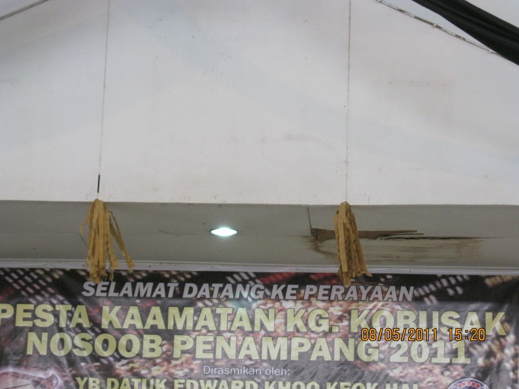 [kobusak2011d[3].jpg]