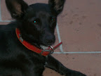 Immagine 016.jpg