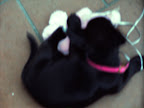 DSCF0881.JPG