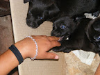 DSCF0489.JPG