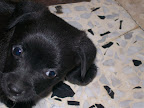 Immagine 004.jpg