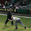 Spring Bowls 10 034 (Small).jpg